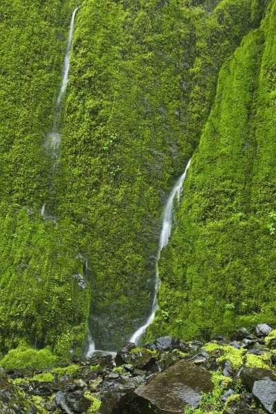 OR, Columbia Gorge Elowah Falls Trail Waterfall